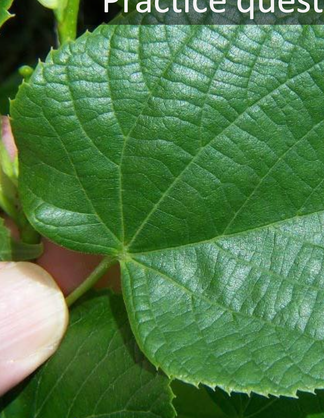 <p>The first order of</p><p class="p1">venation is ___ and</p><p class="p1">the last is ___</p>