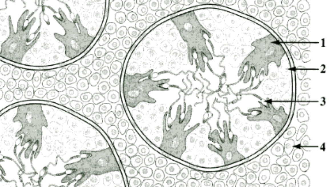 <p>Figure 3</p>
