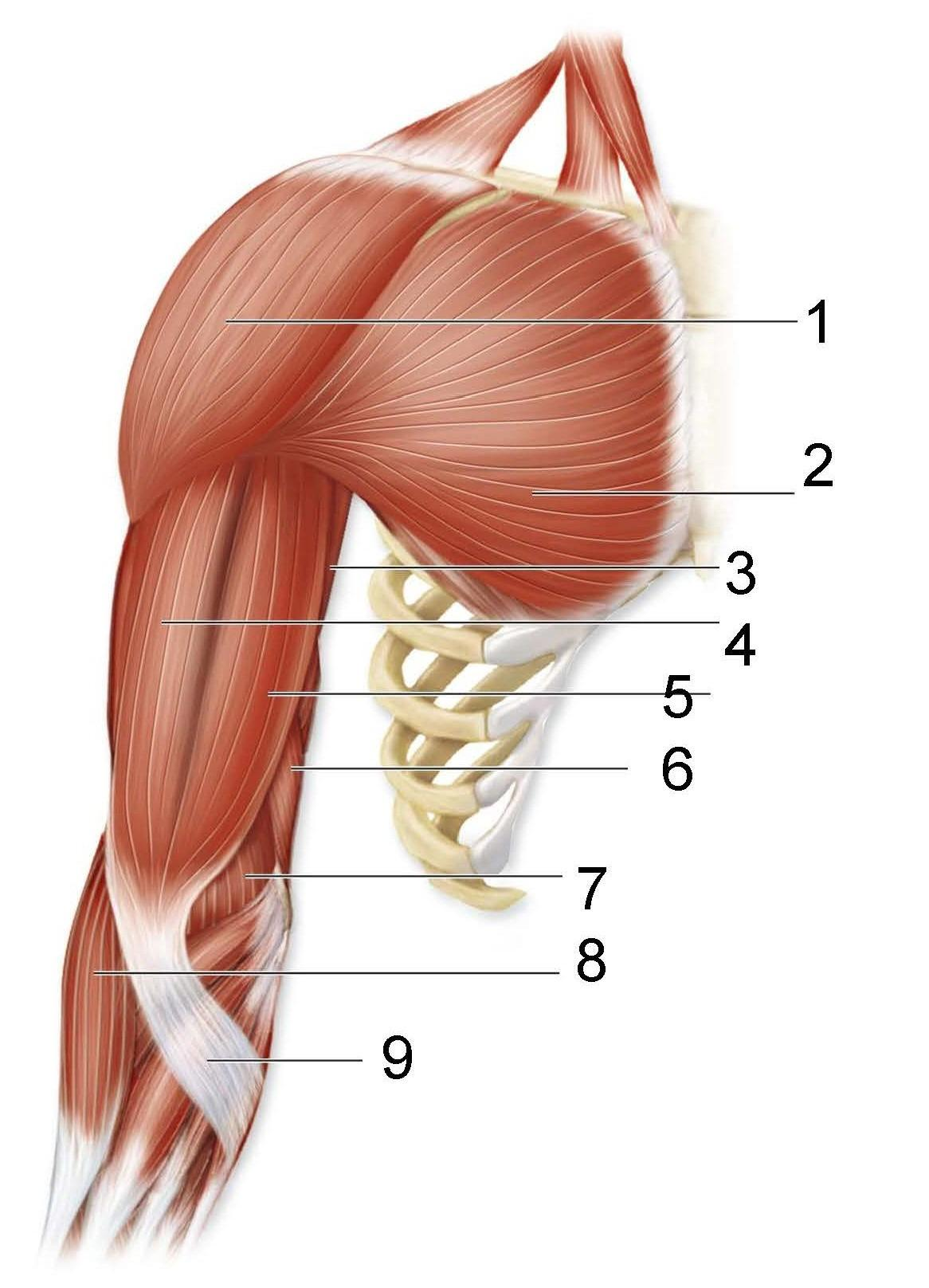 <p>What is identified in the photo 3-8</p>