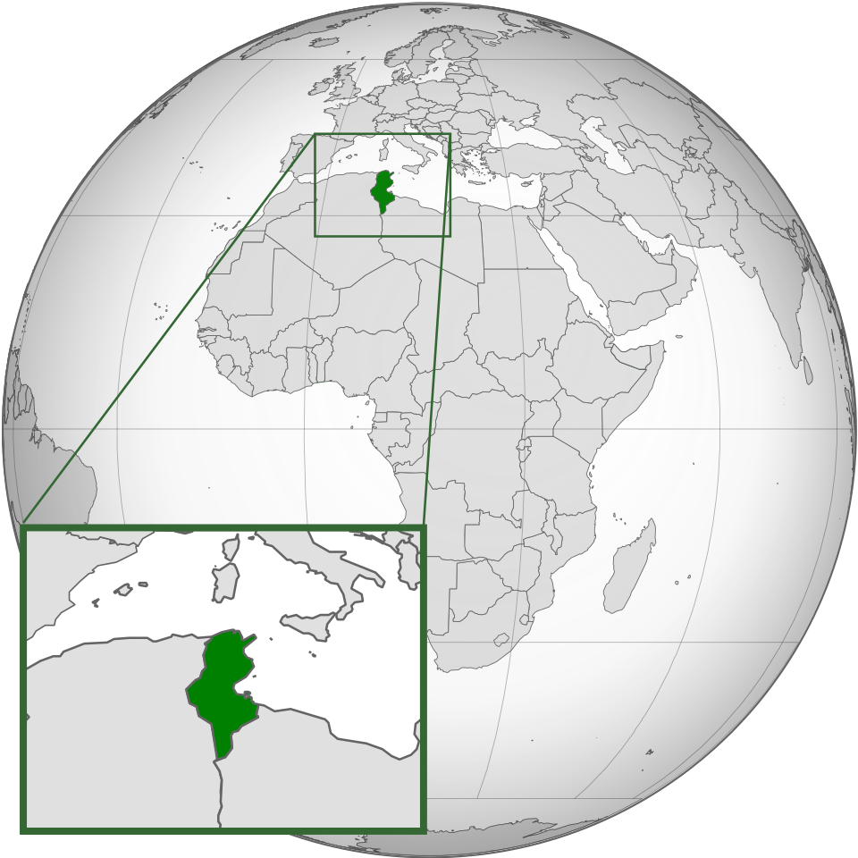 term image