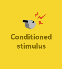 <p>Conditioned stimulus </p>