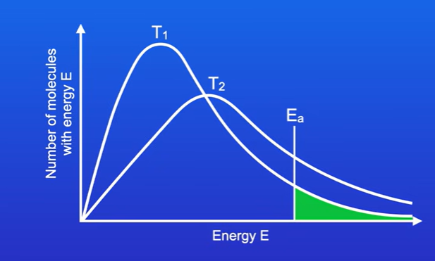 <p>Increase the temp</p><p>Here T2 represents a higher temp than T1</p><p>At higher temps ,there are more particles with very high energies,</p><p>At high temps, curve shifts to right, but height of peak falls as number of molecules never changed.</p><p></p>