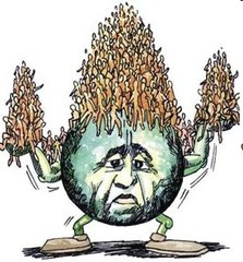 <p>a situation in which the number of people in an area exceeds the capacity of the environment to support life at a decent standard of living</p>