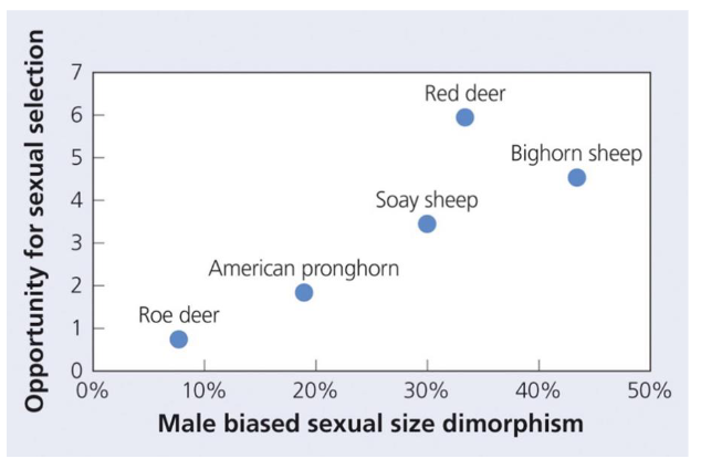<p>24. Consider the figure below:</p><p>Which of the following would you expect to find for the different species represented in the figure?</p><p>A. Variation in mating success among red deer males is likely to be more than variation in mating</p><p>success among roe deer males.</p><p>B. Variation in mating success among bighorn sheep males is likely to be more than variation in</p><p>mating success among American pronghorn males.</p><p>C. Mating success among red deer females is likely to be similar to mating success among roe deer</p><p>females.</p><p>D. All of the above are expected.</p><p>E. Both A and B are expected.</p>