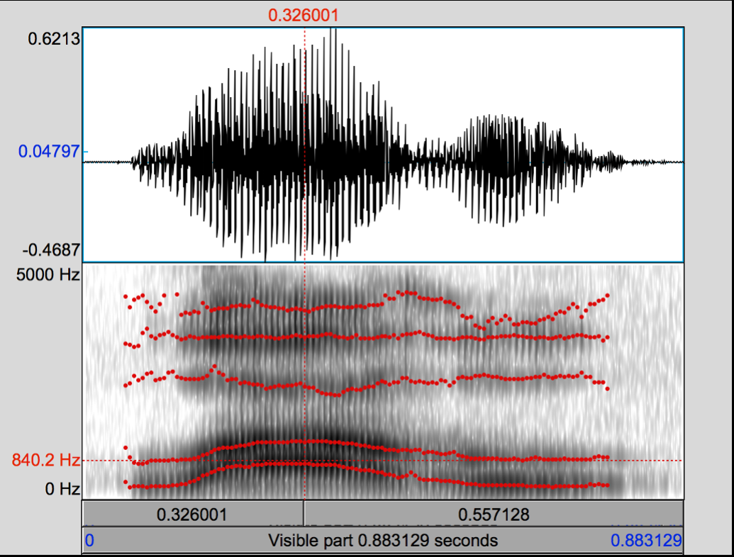 <p>What could this be?</p>