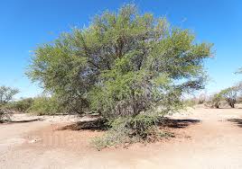 <p>Where Is This?</p>