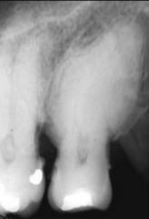 <p>What is this an example of?</p>