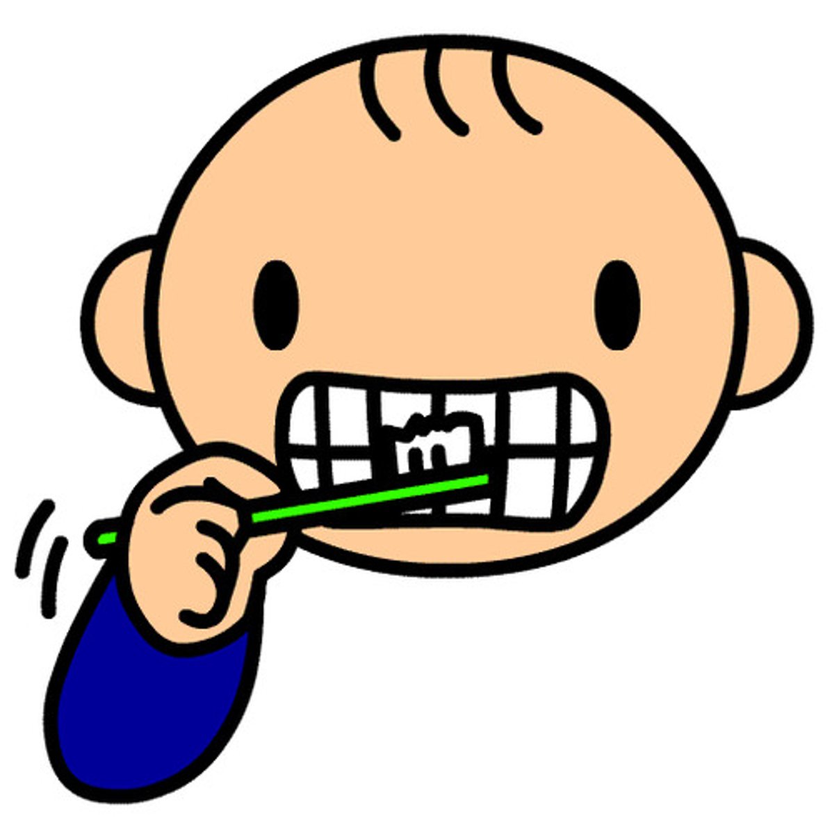 <p>brushes teeth</p>