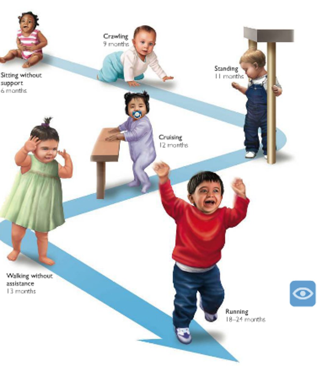 <p>- involve the<strong> large muscles</strong></p><p>e.g. rolling, catching a ball</p>