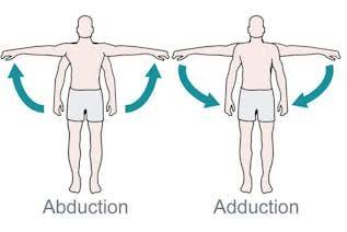 <p>Frontal plane, Medial movement toward midline</p>