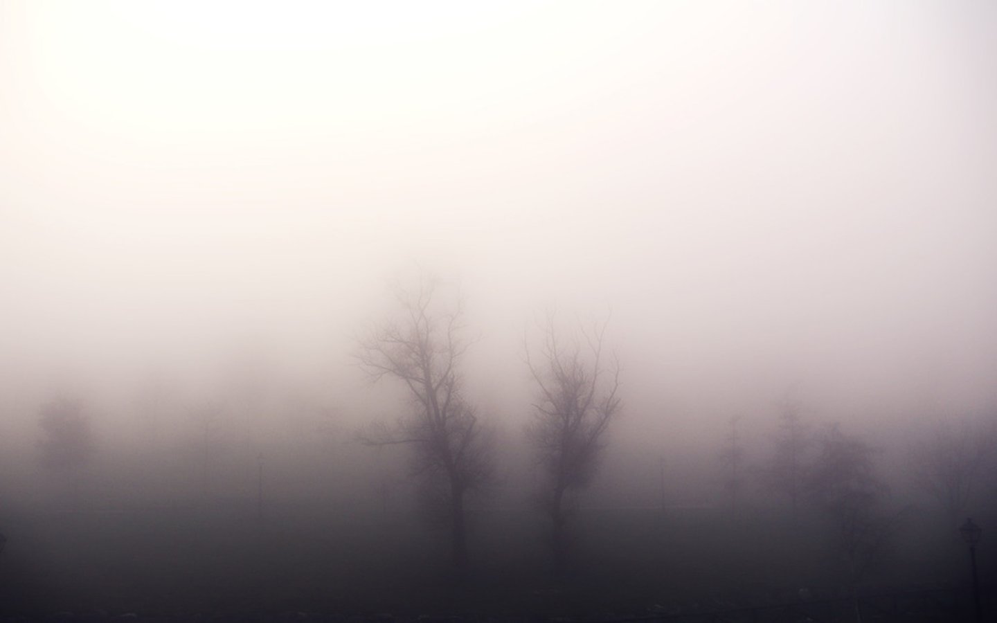 <p>full of, having, or covered by fog</p>