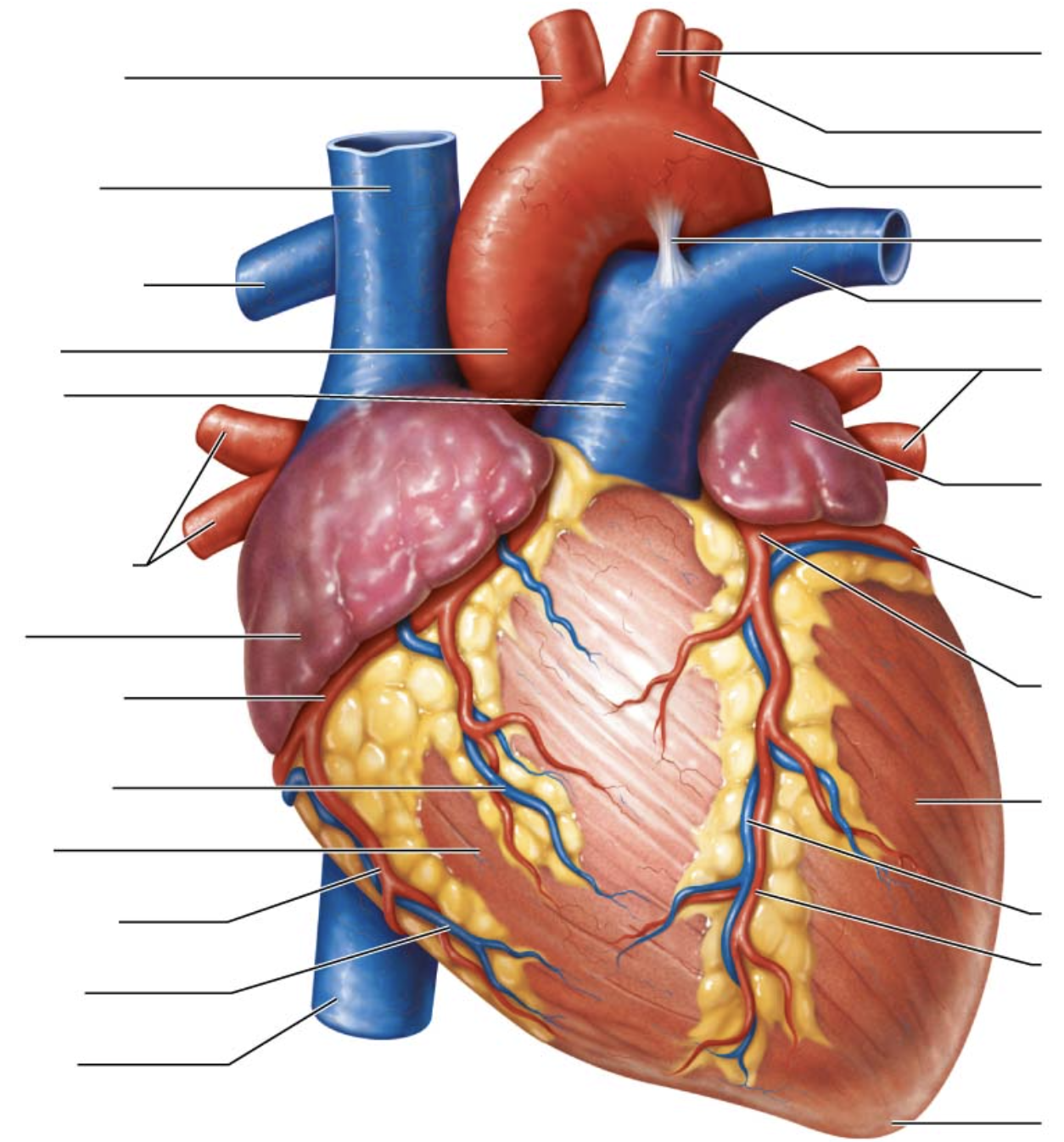 <p>third arrow on right</p>