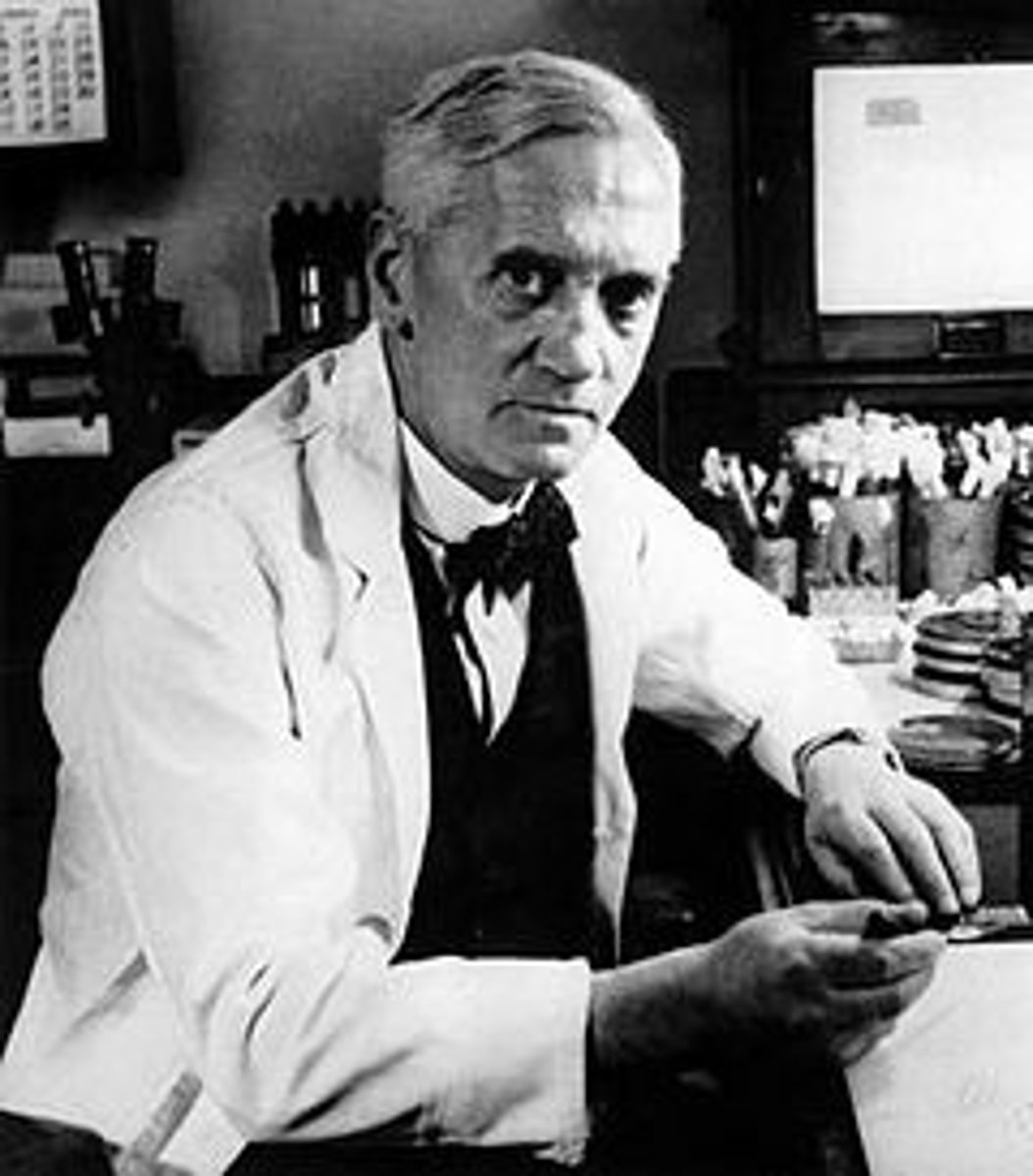 <p>He accidentally discovered the first antibiotic: penicillin.</p>