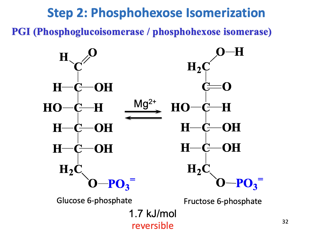 <ul><li><p><strong>Enzyme:</strong> Phosphoglucoisomerase (PGI)</p></li><li><p><strong>Reaction:</strong> G6P <span data-name="left_right_arrow" data-type="emoji">↔</span> <strong>Fructose-6-phosphate (F6P)</strong></p></li><li><p><strong>Mechanism:</strong> Aldose <span data-name="left_right_arrow" data-type="emoji">↔</span> ketose via <strong>enediol intermediate</strong></p></li><li><p><strong>Thermodynamics:</strong> ΔG = +1.7 kJ/mol → reversible</p></li><li><p><strong>Purpose:</strong> C1 of F6P is phosphorylatable by PFK-1 &amp; allows symmetrical cleavage by aldolase</p></li></ul><p></p>