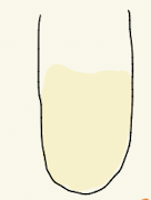 <p>VP</p>