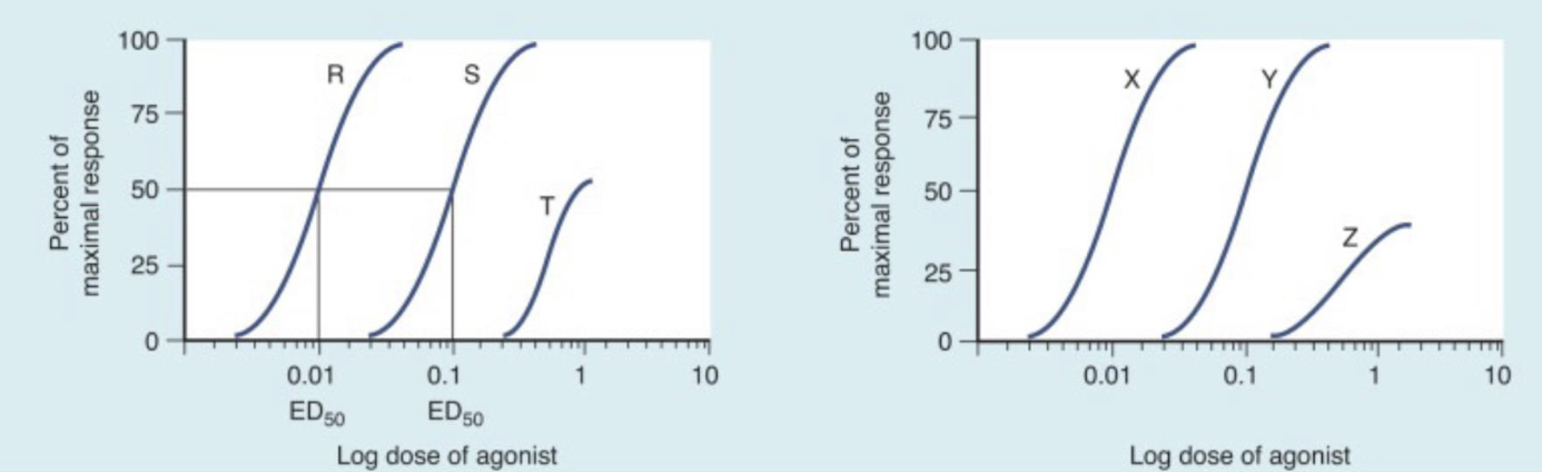 <p><span style="color: rgb(26, 26, 26);">Comparison of Drugs using Dose-Response Curves (Cont.)</span></p>