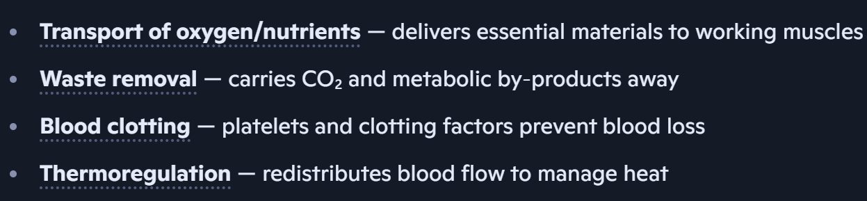 <p>Cardiovascular System Functions</p>