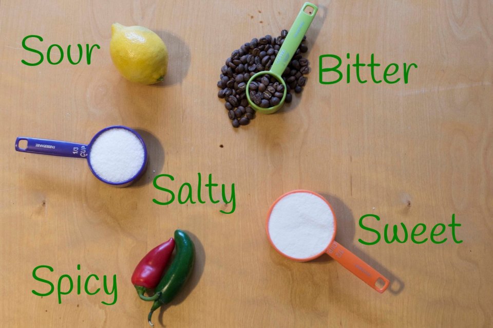 <p>salty / sour / sweet / bitter / spicy</p>