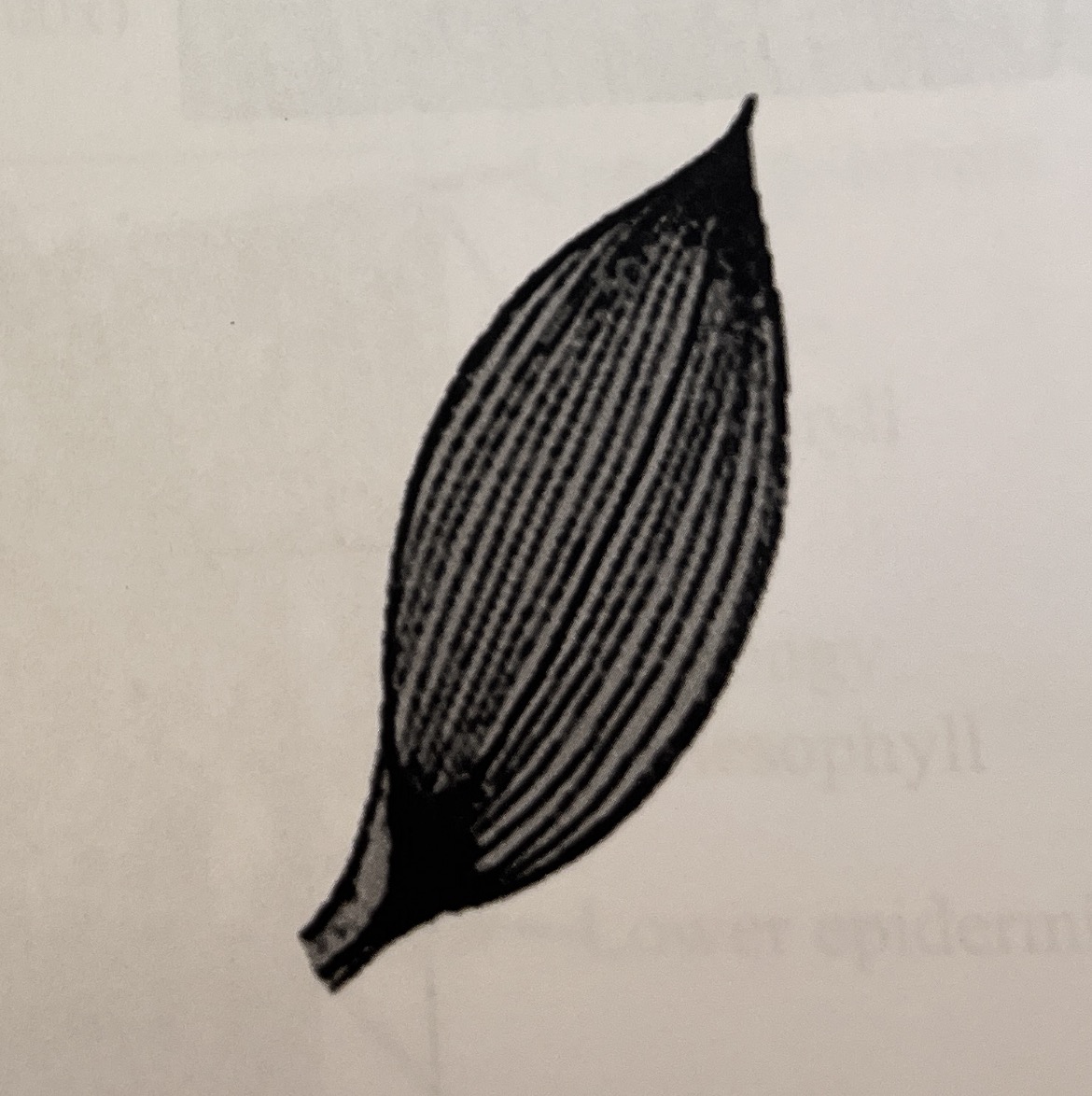 <p>What is this?</p>