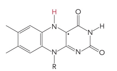 <p>What is the name of this molecule</p>