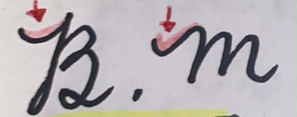 <p><span>is an introductory up and down strokes found in some capital letters. Also sometimes called as double hitch.</span></p>