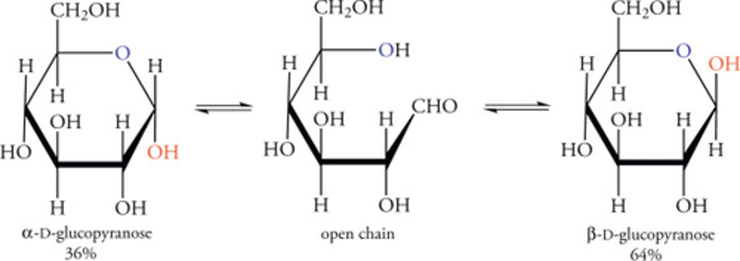 <p>a. B-D-glucopyranose</p>