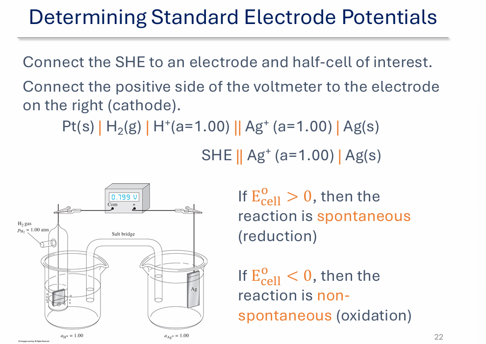 <p>E cell is spontaneus reduction greater than zero, non spontaneous oxidation less than zero</p>