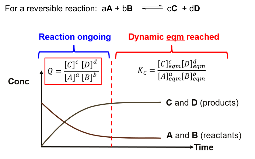 <p>when a reversible reaction has not yet reached equilibrium: t<strong>he reaction quotient (Q) is the ratio of the product of the concentrations of products raised to the appropriate powers to the product of the concentrations of reactants raised to the appropriate powers at a given temperature</strong></p><ul><li><p>unlike K<sub>c</sub>, Q is not a constant value as the concentration of products and reactants are always changing, until the reaction reaches equilibrium</p><ul><li><p>K<sub>c</sub>: special Q that defines the proportion of each species in a reaction mixture at dynamic equilibrium</p></li></ul></li><li><p>Q has the same expression as the equilibrium constant, K but<br>represents the quantity of reactants and products at any composition</p></li></ul><ol><li><p>if Q < K<sub>c</sub> → not at dynamic equilibrium yet</p><ul><li><p>proportion of products to reactant is less than at equilibrium</p></li><li><p>to attain dynamic equilibrium, increases the proportion of products to reactants ⇒ increase conversion of reactants to products until Q = K<sub>c</sub></p></li></ul></li><li><p>if Q > K<sub>c</sub> → not at dynamic equilibrium yet</p><ul><li><p>proportion of products to reactant is more than at equilibrium</p></li><li><p>to attain dynamic equilibrium, decrease the proportion of products to reactants ⇒ increase conversion of products to reactants until Q = K<sub>c</sub></p></li></ul></li><li><p>Q = K<sub>c</sub> → system is at equilibrium</p></li></ol><p></p>