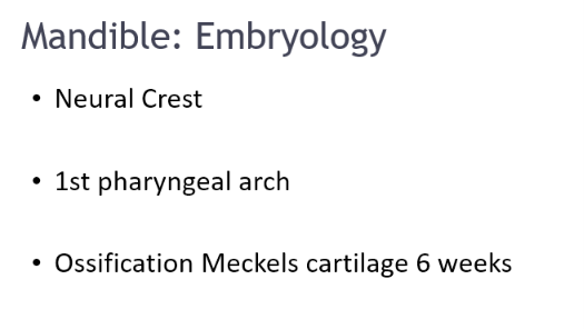 <ul><li><p>Neural crest </p></li><li><p>First pharyngeal arch</p></li><li><p>Ossification Meckels cartilage 6 weeks </p></li></ul><p></p>