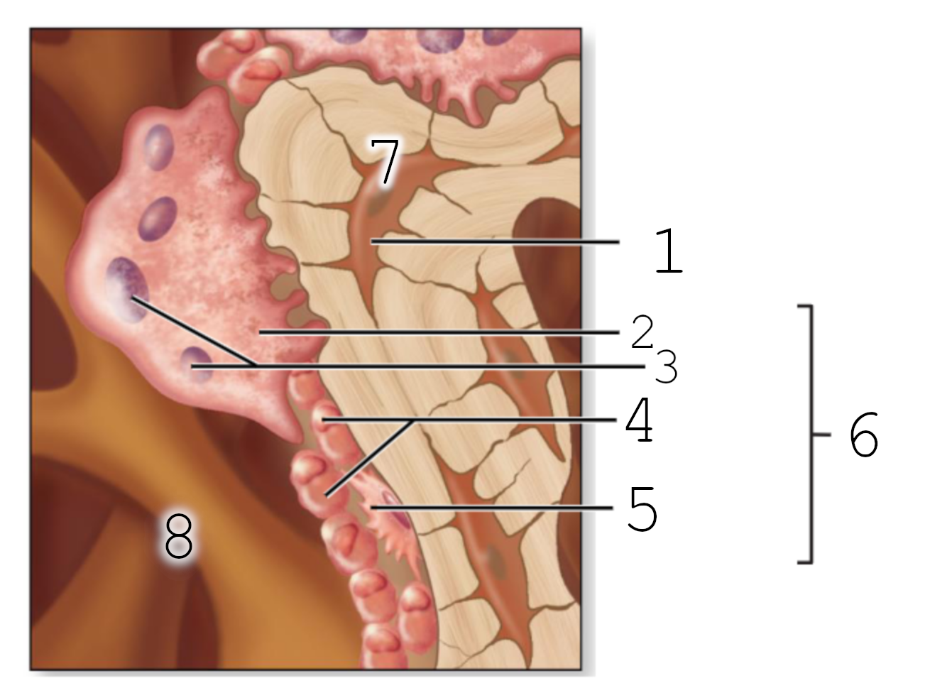 <p>5</p>
