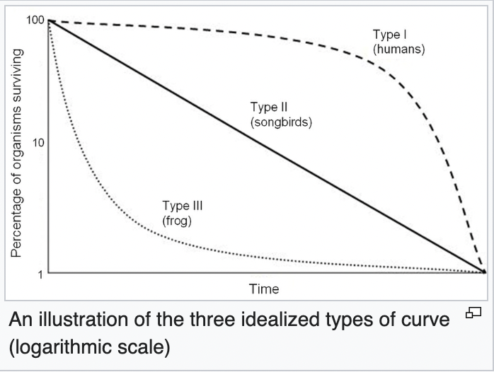 <p>survivorship curves</p>