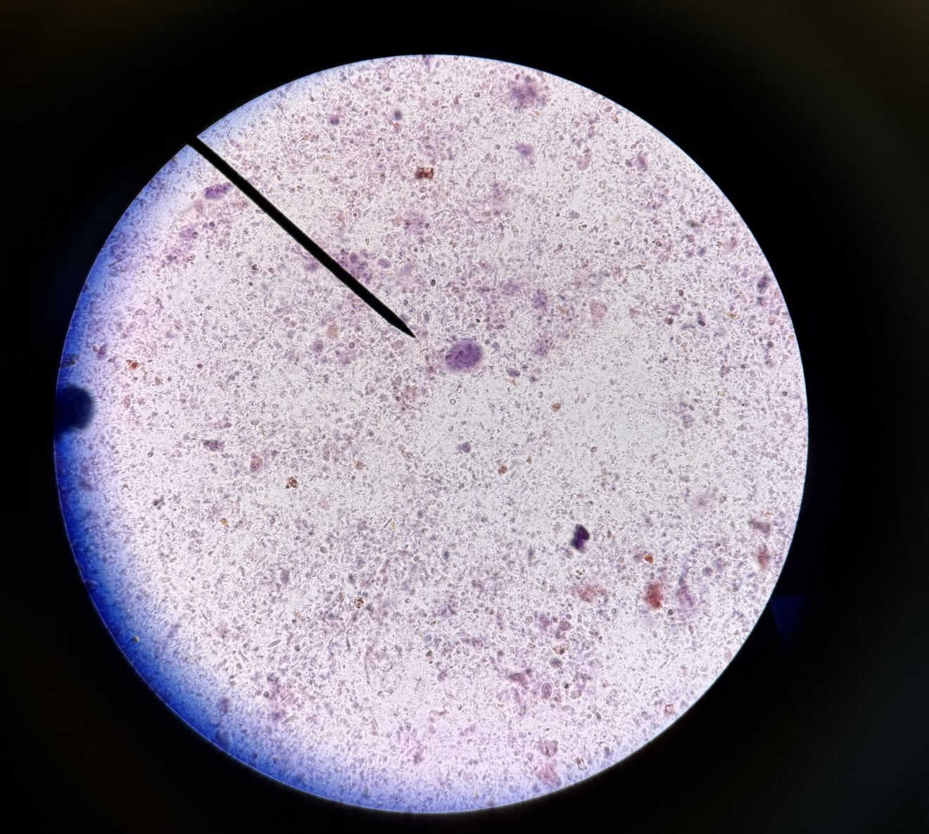 <p>What is this?</p>