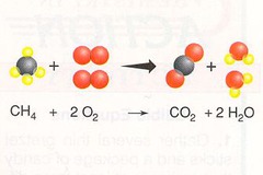 <p>Carbon dioxide and water</p>