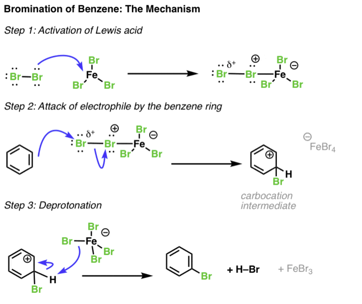 <p>FeBr<sub>3</sub> or FeCl<sub>3</sub> (AlCl<sub>3</sub>) catalyst required to activate halogen to strong electrophile</p><p>attack of electrophile by benzene ring</p><p>deprotonation to restore aromaticity</p>