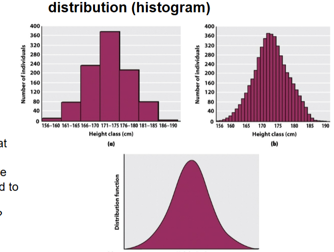 <p>a frequency distrubution (histogram)</p><p>bins make it possible to see bellcurve </p><p>WE WANT DA BELLCURVE</p>