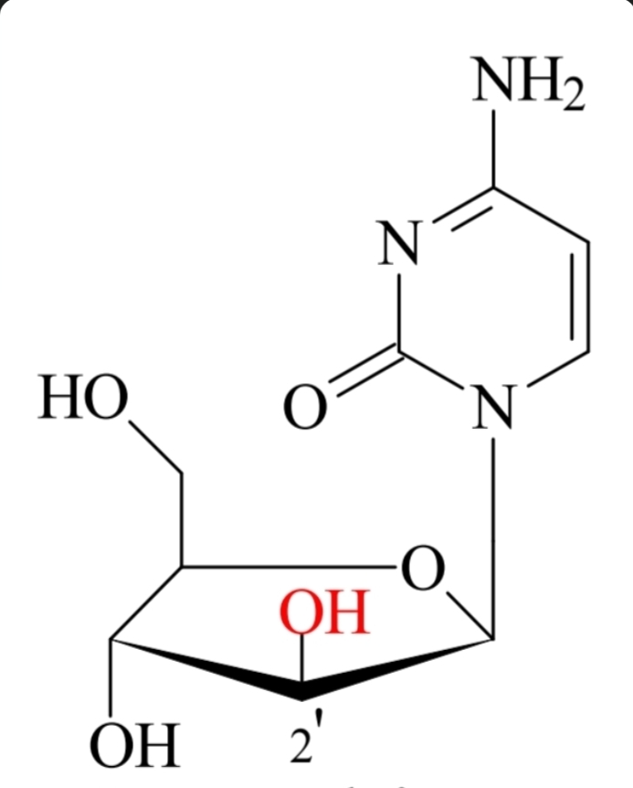 <p>Antymetabolity nukleozydów pirymidynowych</p><p class="is-empty is-editor-empty has-focus">INHIBITORY POLIMERAZY DNA<br></p>