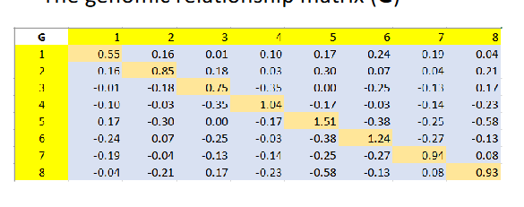 <p>Note: </p><ul><li><p>G has both positive and negative values</p></li><li><p>Off-diagnoals Gij: relationships between different individuals</p></li><li><p>- positive values → individuals are more similar than average</p></li><li><p>negative values → individuals are less similar than average</p></li></ul><p>Diagonal elements Gij: self relationships = 1+ inbreeding coefficient</p><ul><li><p>smaller than 1 → individual is less inbred (homozygous) than average</p></li><li><p>larger than 1 → individuals is more inbred (homozygous) than average</p></li></ul><p>in contrast to the pedigree relatiosnhisp (A), negative relationships and inbreeding can exist</p><p>This is because G measures allele sharing, relative to the population aveage</p><p>Large sample in HWE: mean off-diagnoals: G(^-)ij = 0, mean diagonal g(^-)ii=1</p><p></p>