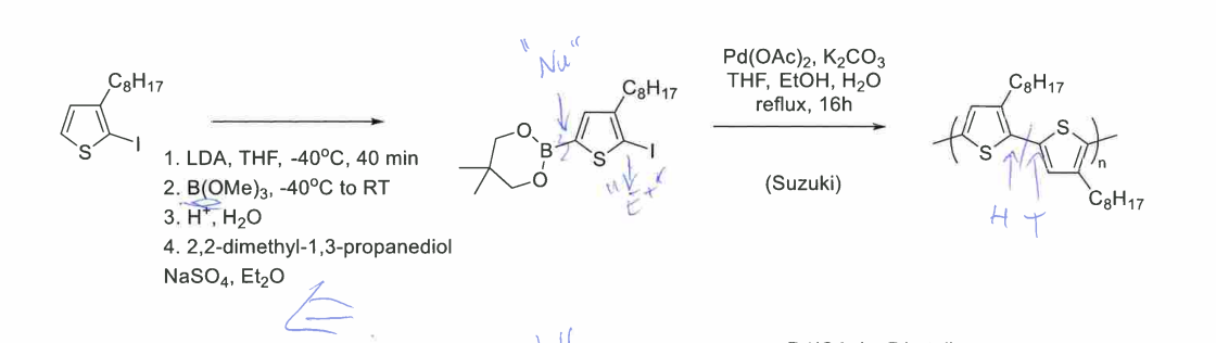<p>What is the purpose of the Suzuki coupling shown at the top of the slide?</p>