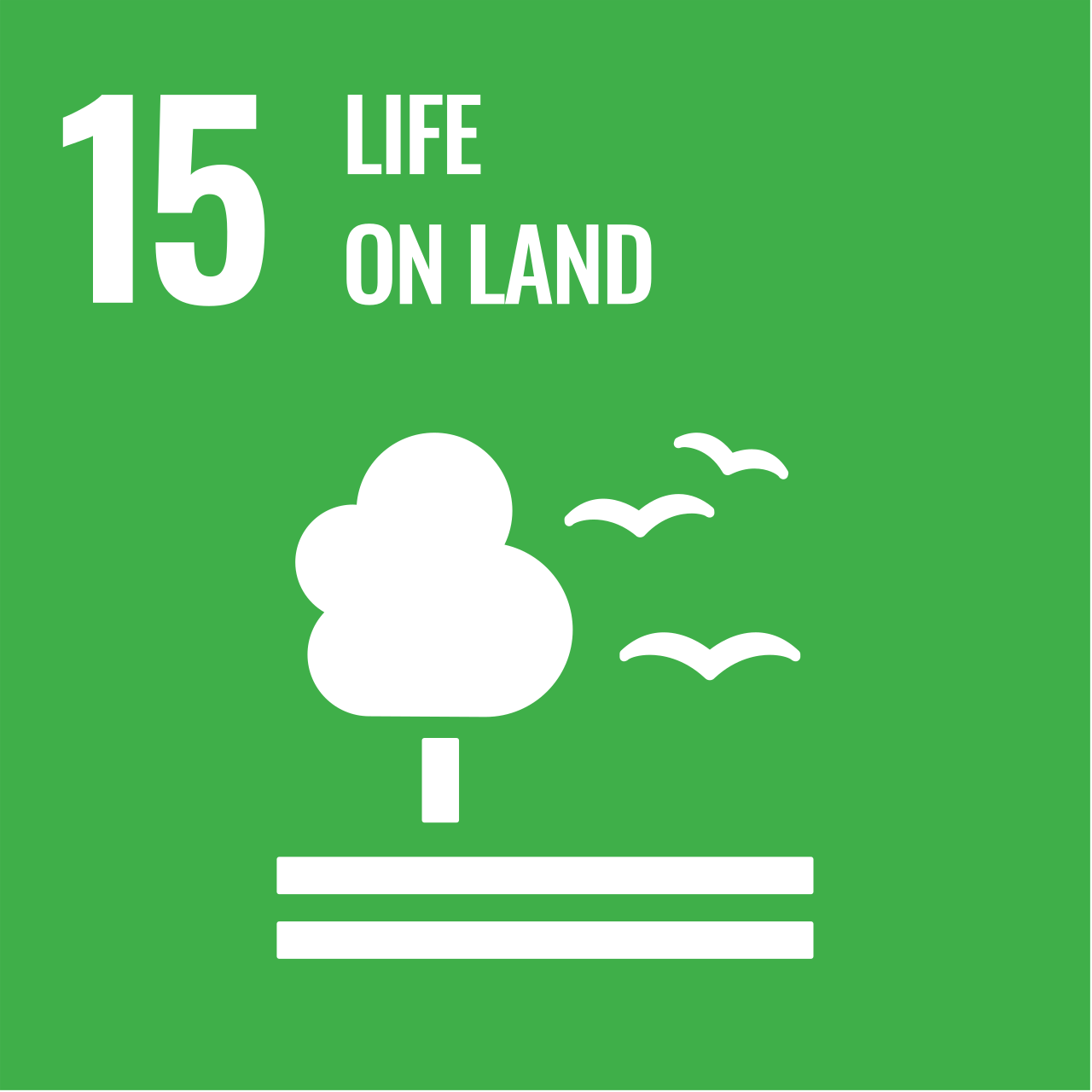 <p>Goal #15 : Life On Land</p>