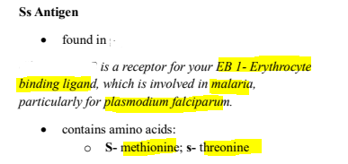 <p><strong><u>MNSs Blood Group </u></strong></p>