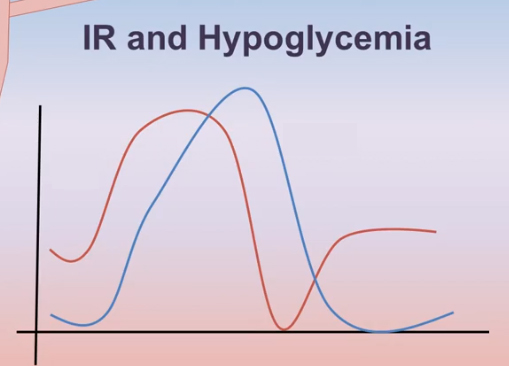<p><span>What does the red line represent?</span></p>