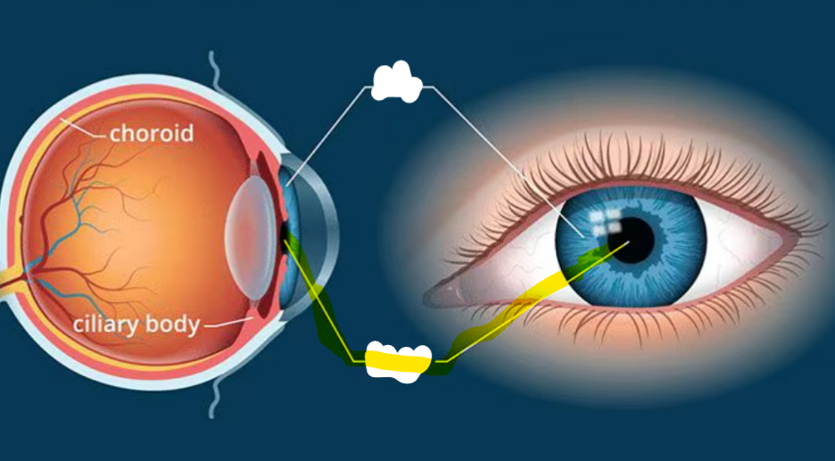 <p>What is highlighted</p>