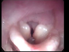 <p>What is this?</p>