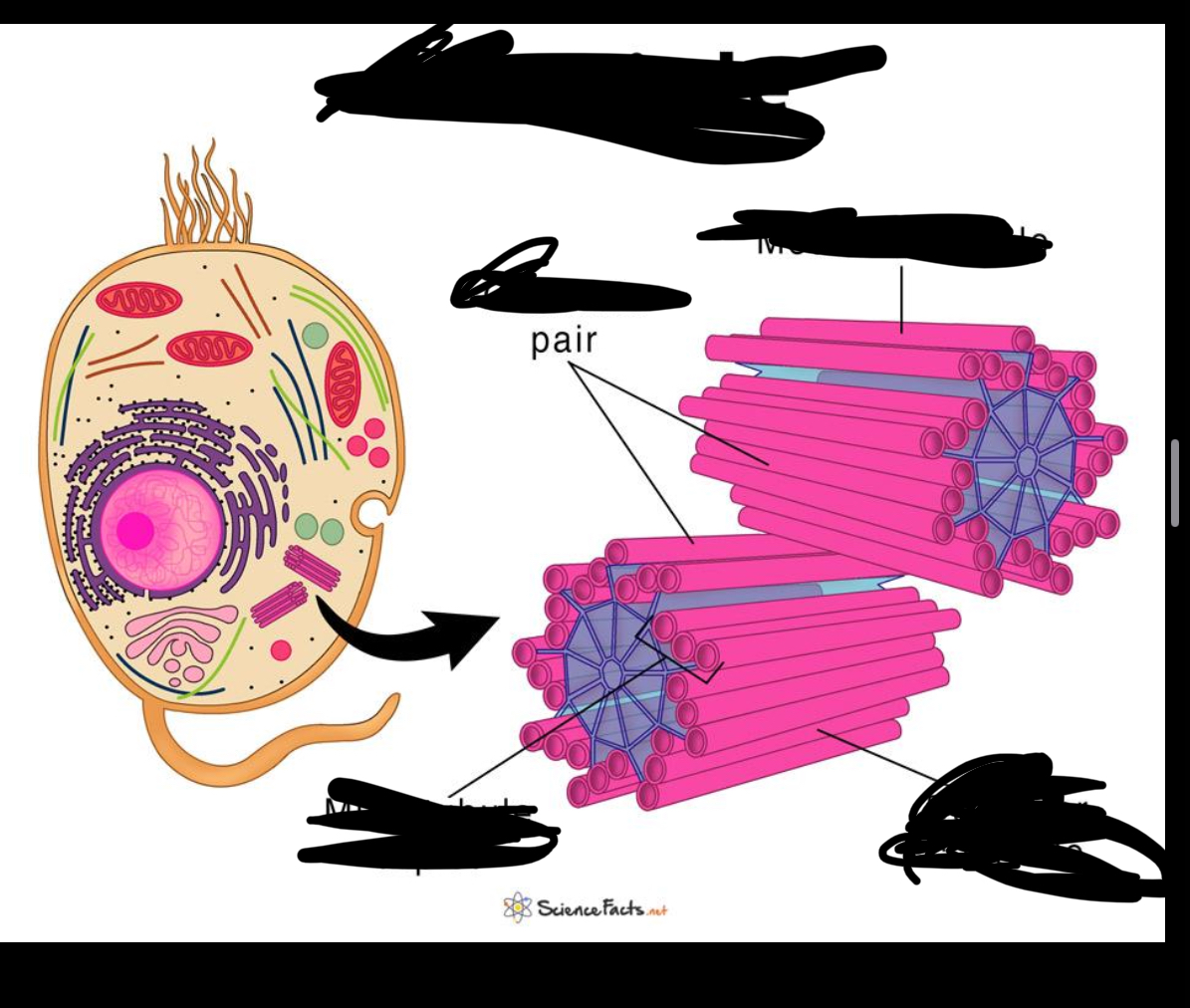 <p>NAME IT</p>