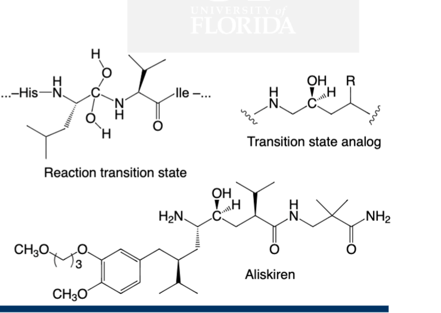 <p>• Aliskiren; NO ACE escape</p><p>• MOA: Inhibit Renin; No ACE escape; mimics tetrahedral transition state</p><p>- Is an aspartyl protease, so two aspartic acid residues facilitate attack of water on a labile amide bond between Leu and Val </p><p>• Structure: </p><p>- Tetrahedral carbon </p><p>• Indications: </p><p>- HTP</p><p>• Precautions: Do not use with ACE inhibitor or ARB; do not use with cyclosporine or itraconazole</p><p>• Contraindications: Pregnancy</p><p>• Metabolism: </p><p>• AEs: Less risk of dry cough, hyper kalemia, angioedema</p><p>• Drug Interactions: Do not use with ACE inhibitor or ARB; do not use with cyclosporine or itraconazole</p><p>• Monitor K; high fat meals decrease absorption</p>