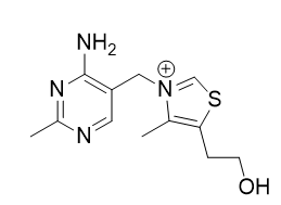 <p></p>