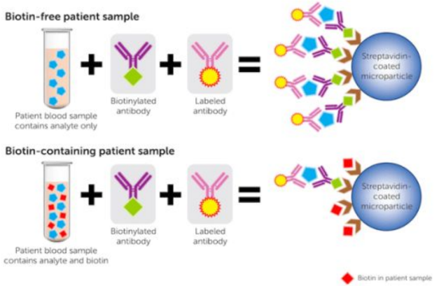 <p>Many immunoassays use streptavidin to capture biotinylated antibodies for detection (eg. troponin marker for myocardial infarction). But biotin supplements can cause interference in assays, leading to falsely low results.</p>