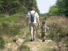 <p>to go</p>