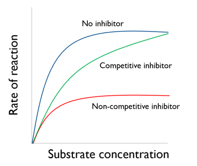 <p>With a high enough substrate concentration, the <strong>competitive inhibitors</strong> are knocked out of the active site and the rate of reaction will return to the same as with no</p><p>inhibitor.</p><p>The rate of reaction with a <strong>non-competitive inhibitor</strong> will be lower at all substrate concentrations.</p>