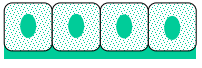 <p>What typa layering? </p>